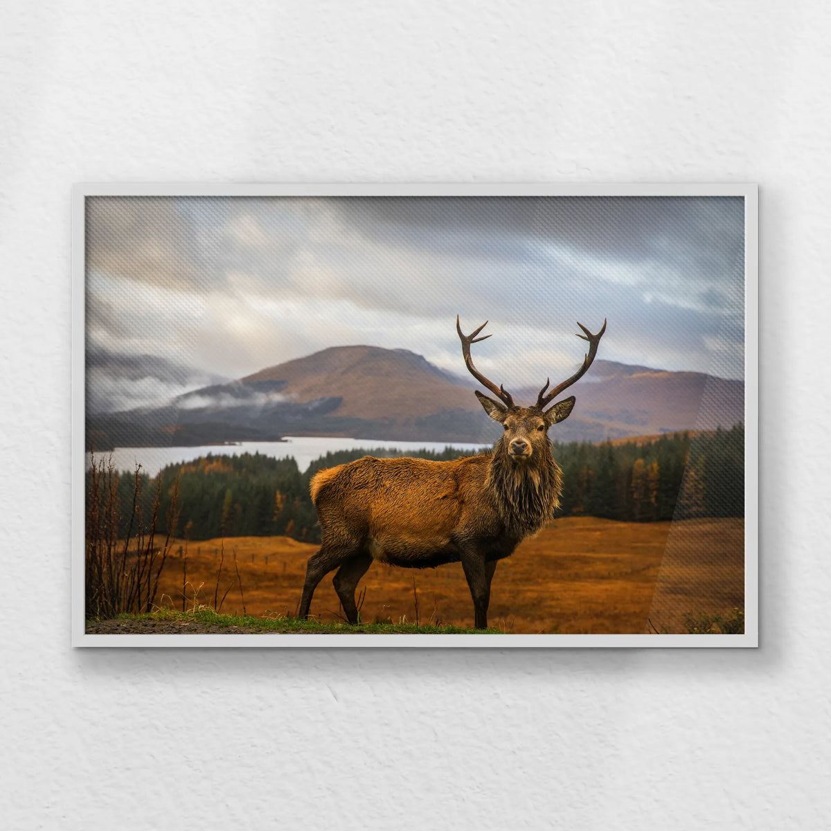 LWW100W070