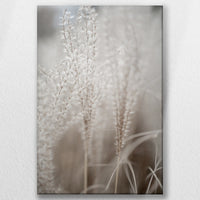 LW-020W030