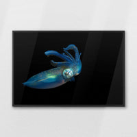 LWB120W080