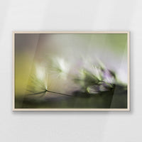 PN-093W062