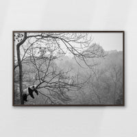 LWN120W080