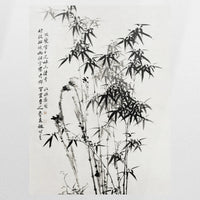 PO-060W080