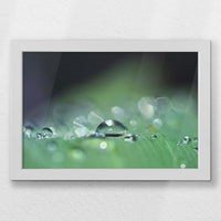 LWW030W020
