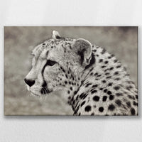 LW-060W040