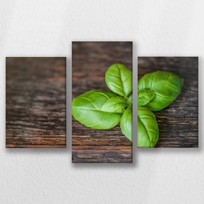 LW-060T040