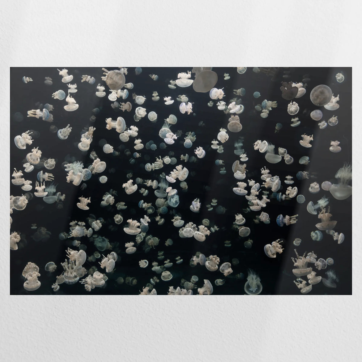 PO-075W050