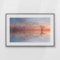 PBP093W062