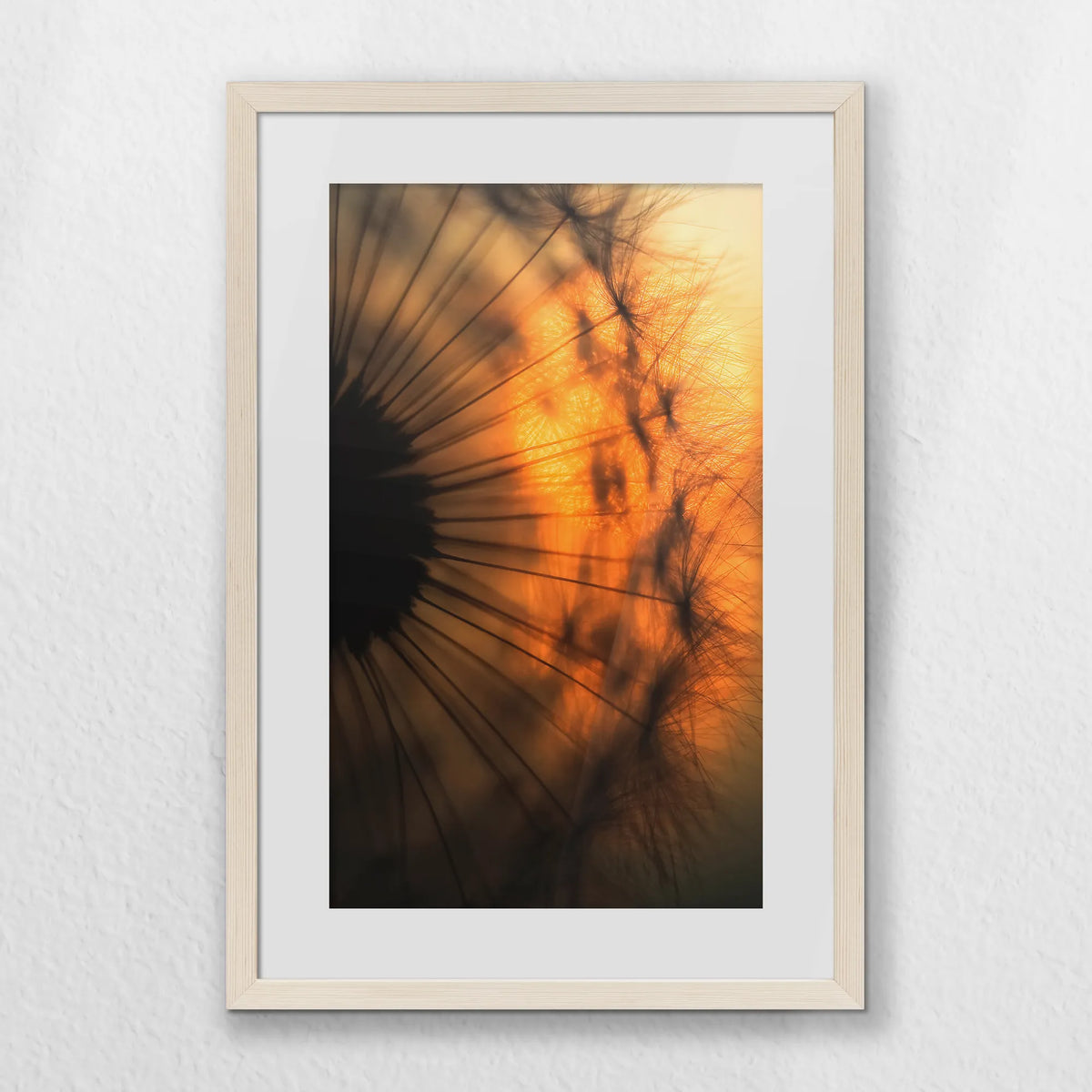 PNP040W060