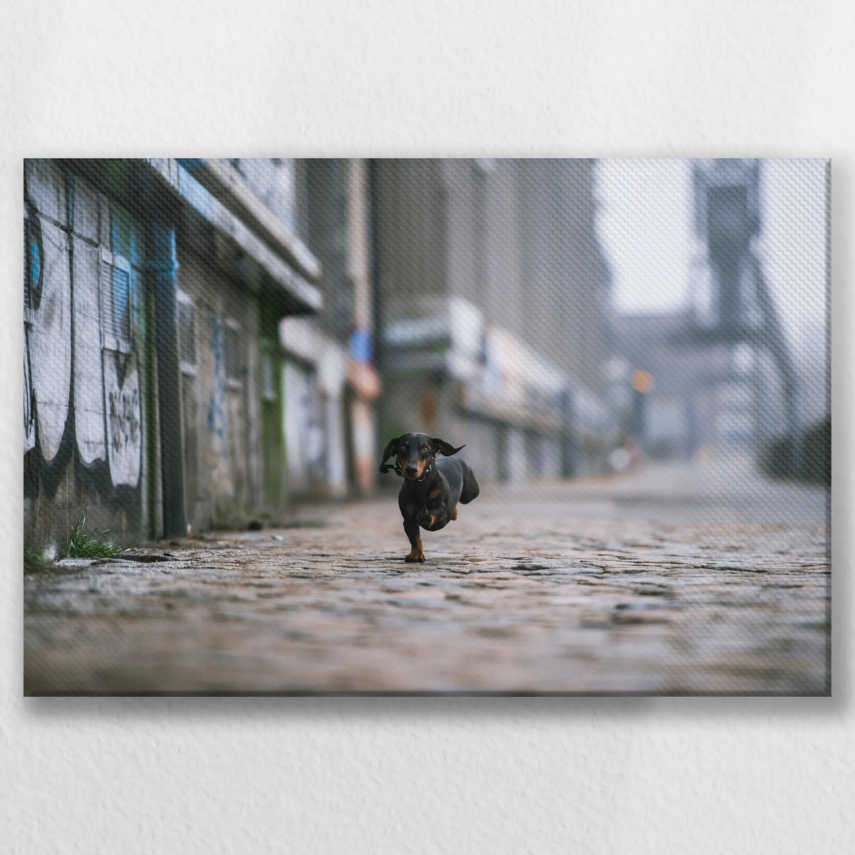 LW-045W030