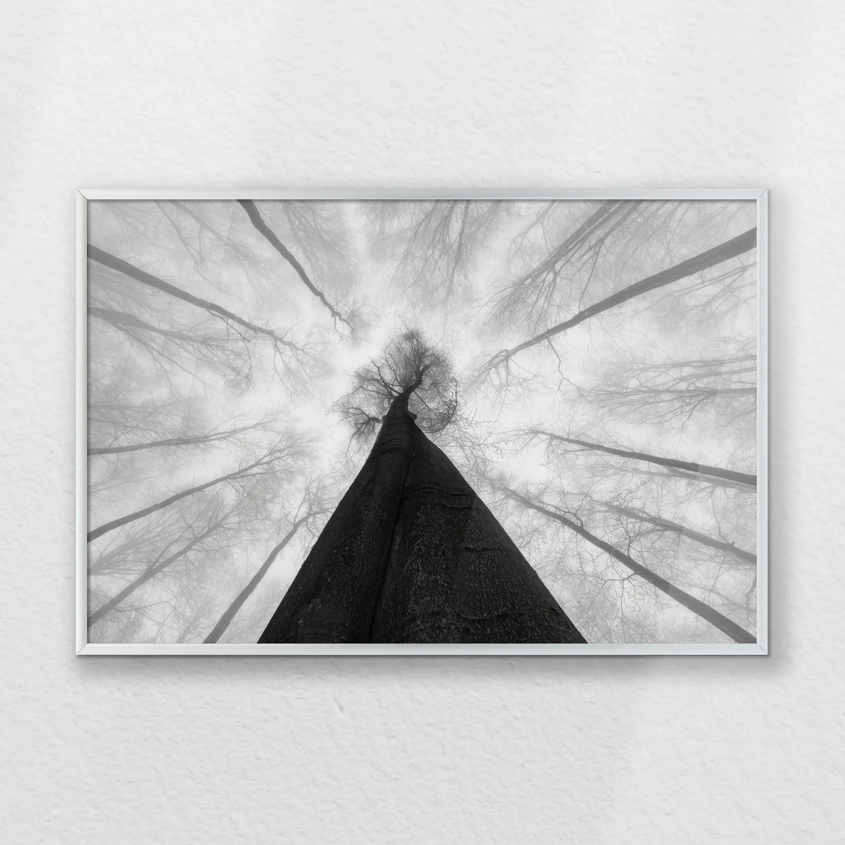 PS-060W040