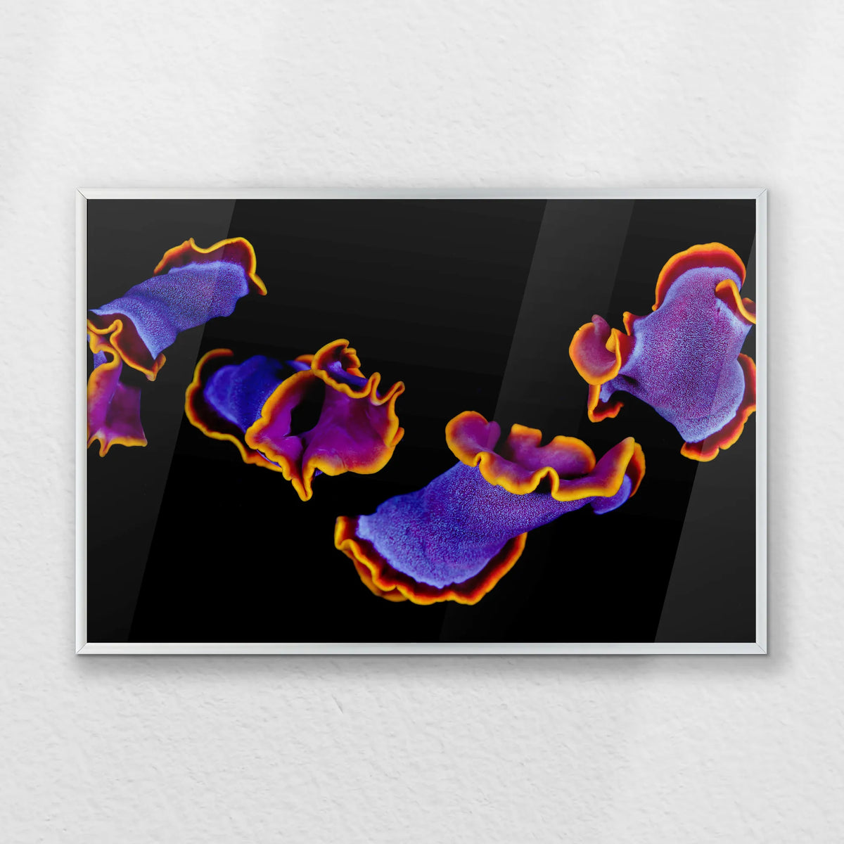 PS-060W040