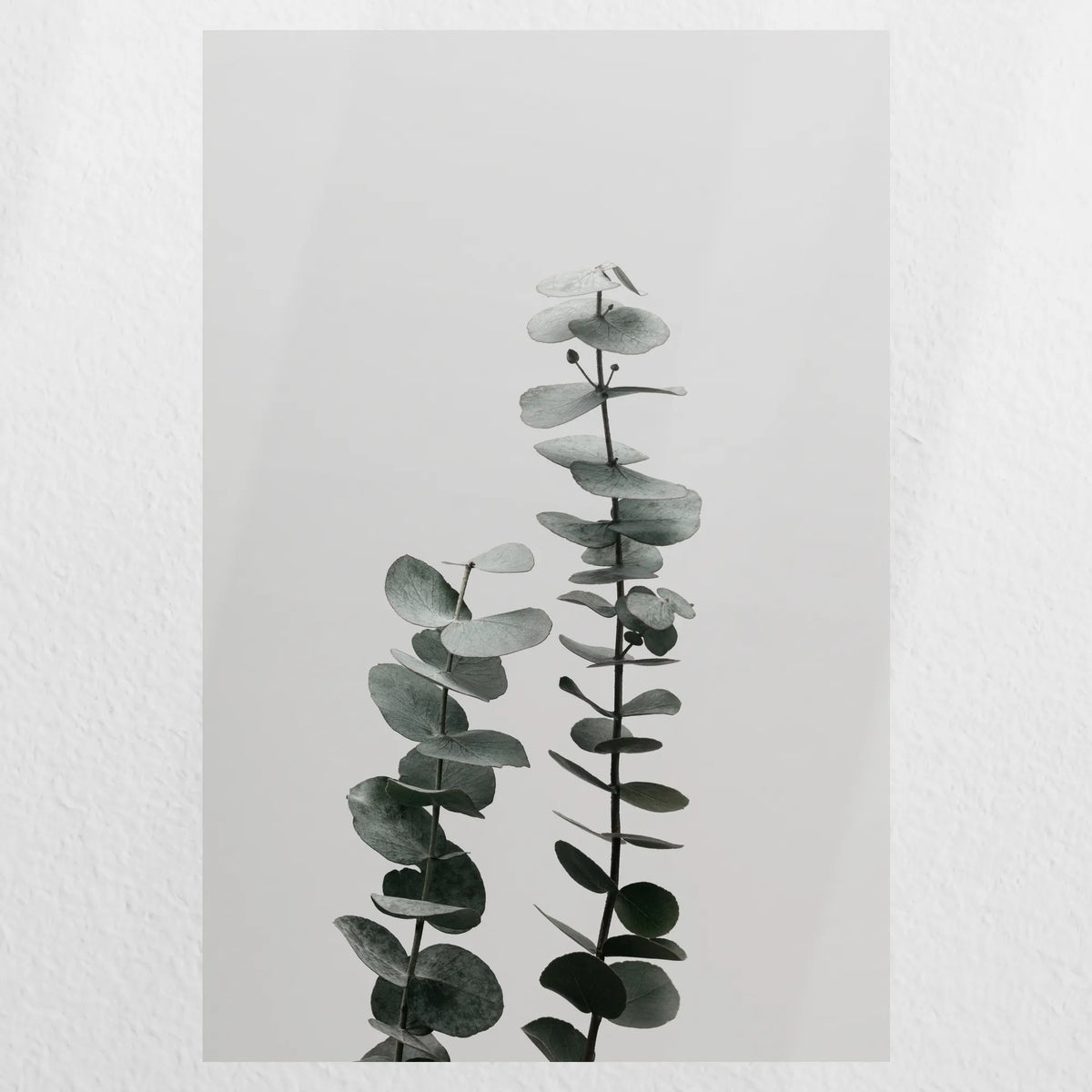 PO-030W045