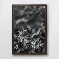 LWN040W060