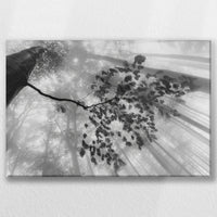 LW-060W040