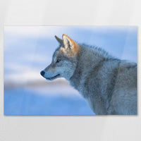 AL-120W080