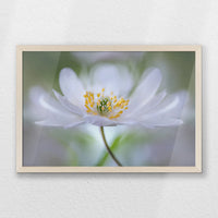 PN-060W040