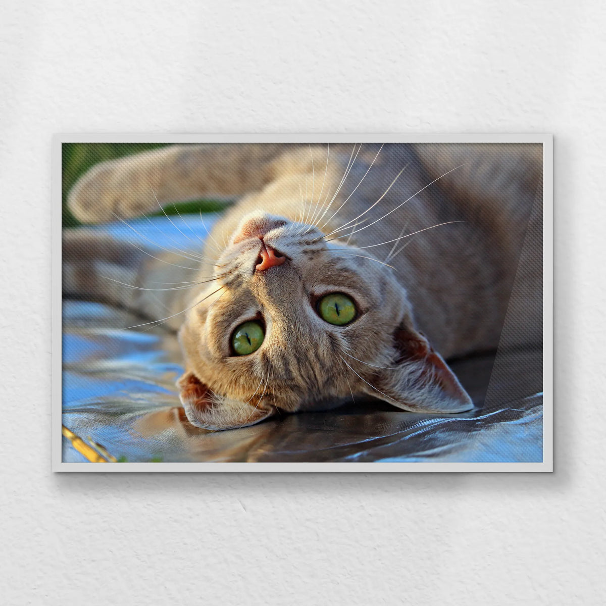 LWW100W070
