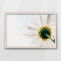 PN-060W040