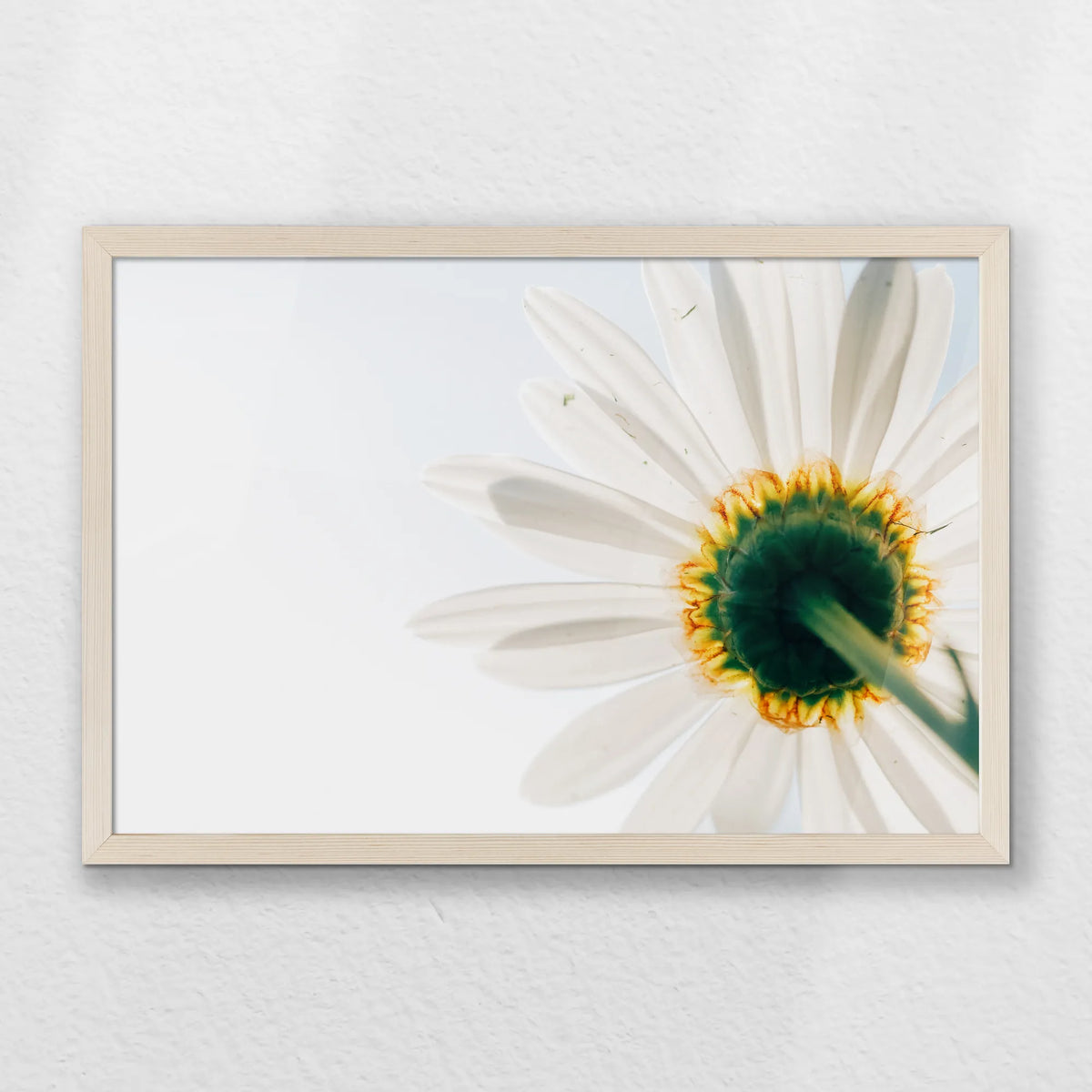 PN-060W040