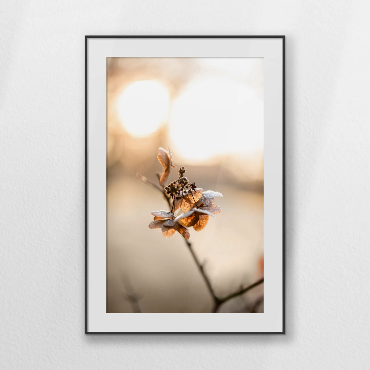 PBP070W100