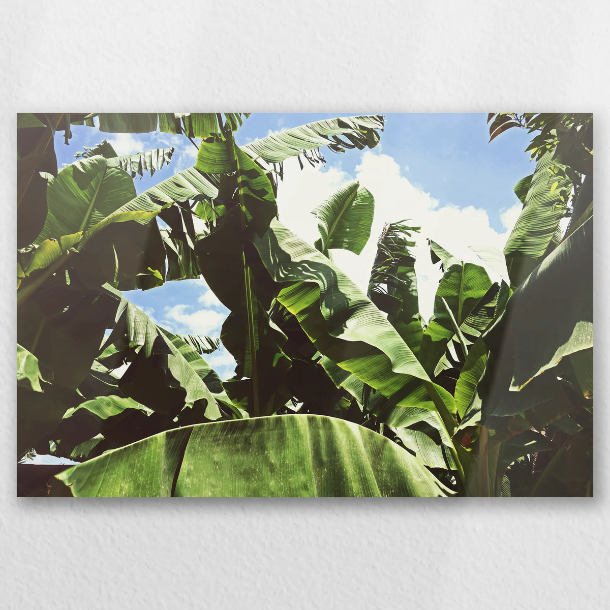 AL-030W020
