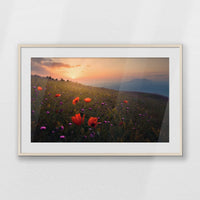 PNP100W070