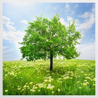 PO-090W090