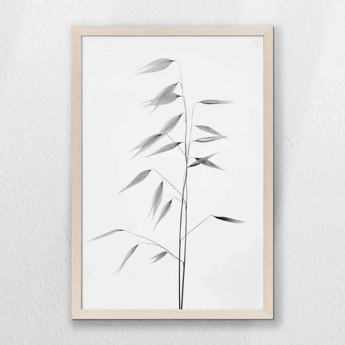 PN-040W060