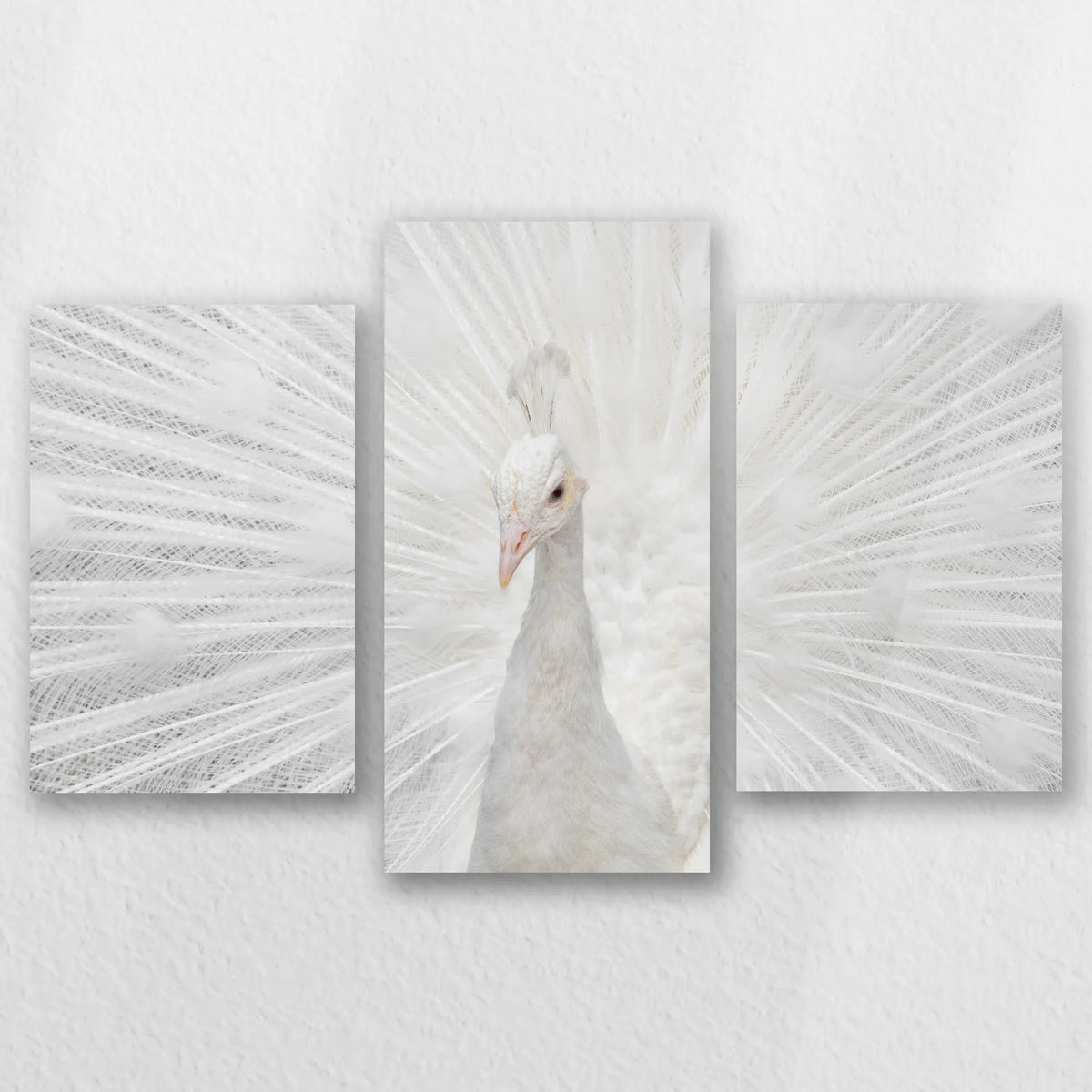 AC-060T040