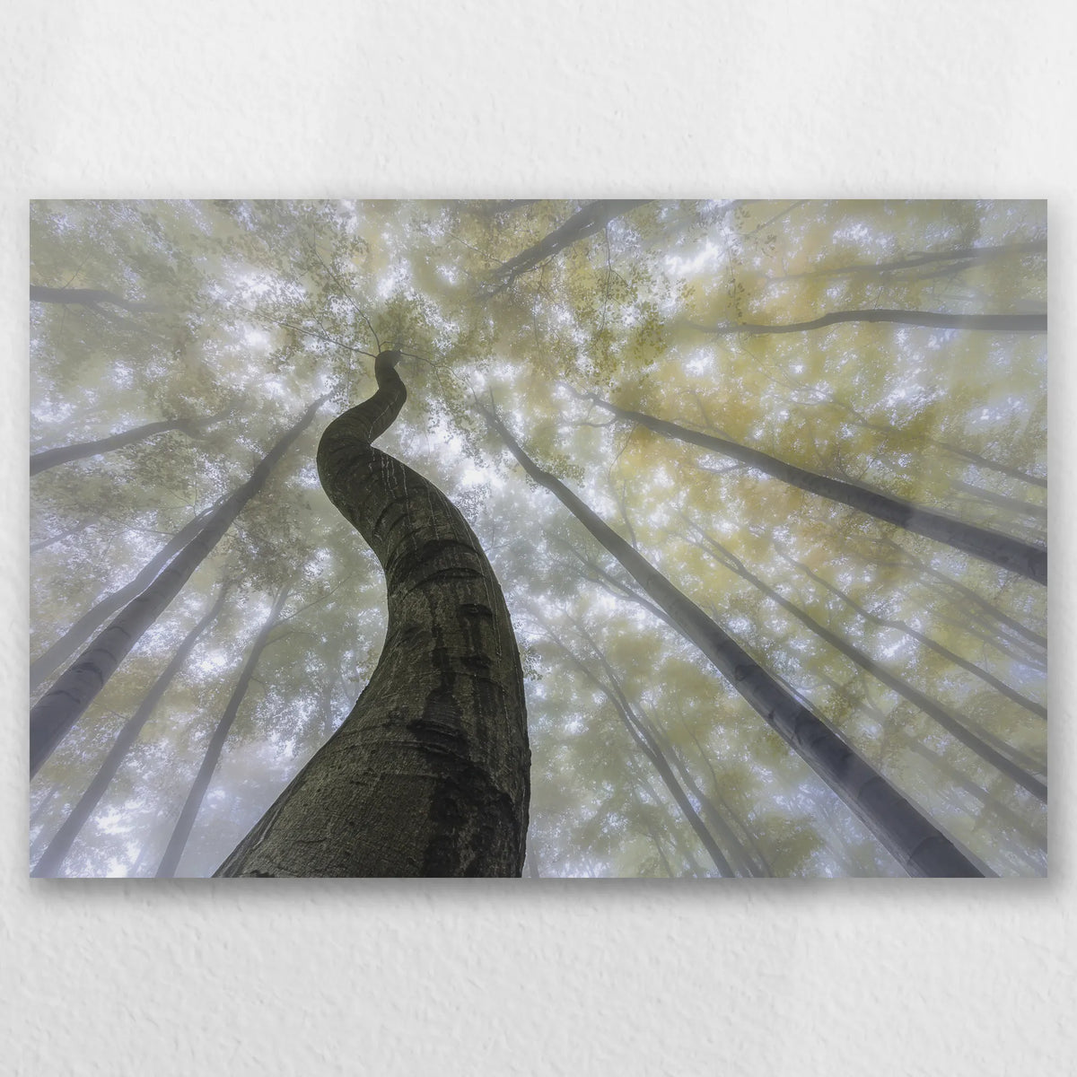 AL-060W040