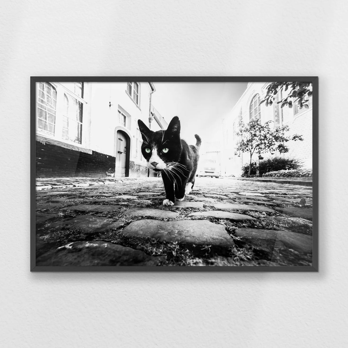 PK-093W062