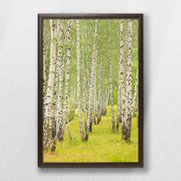 LWN040W060