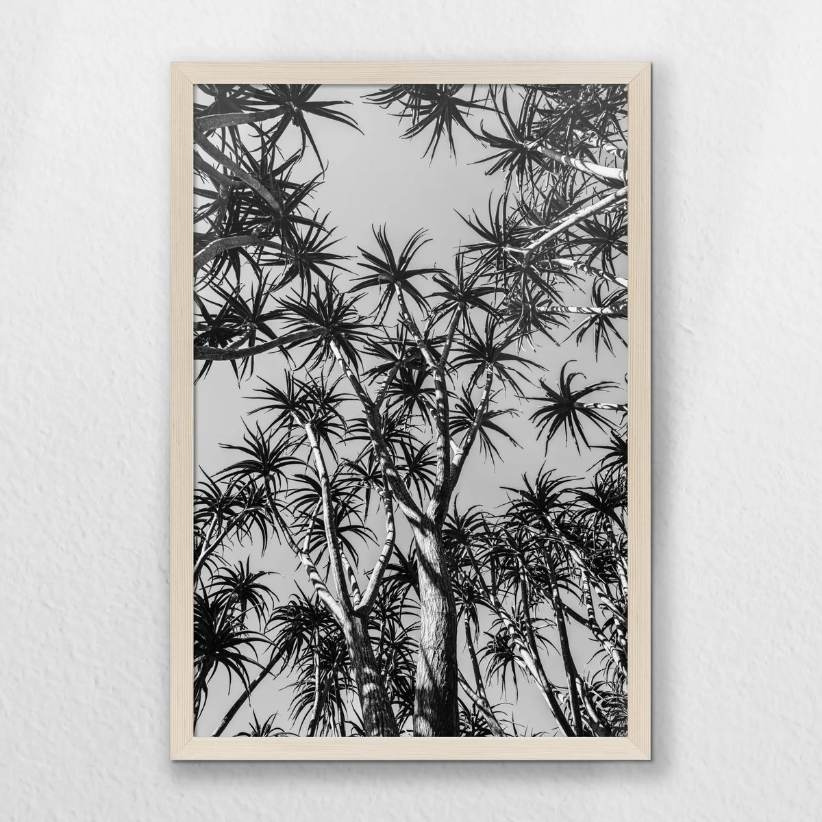PN-040W060