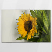AC-120W080