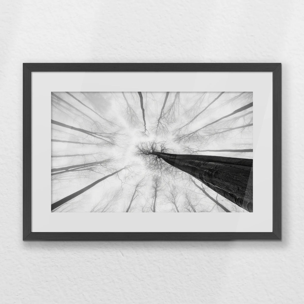 PKP060W040