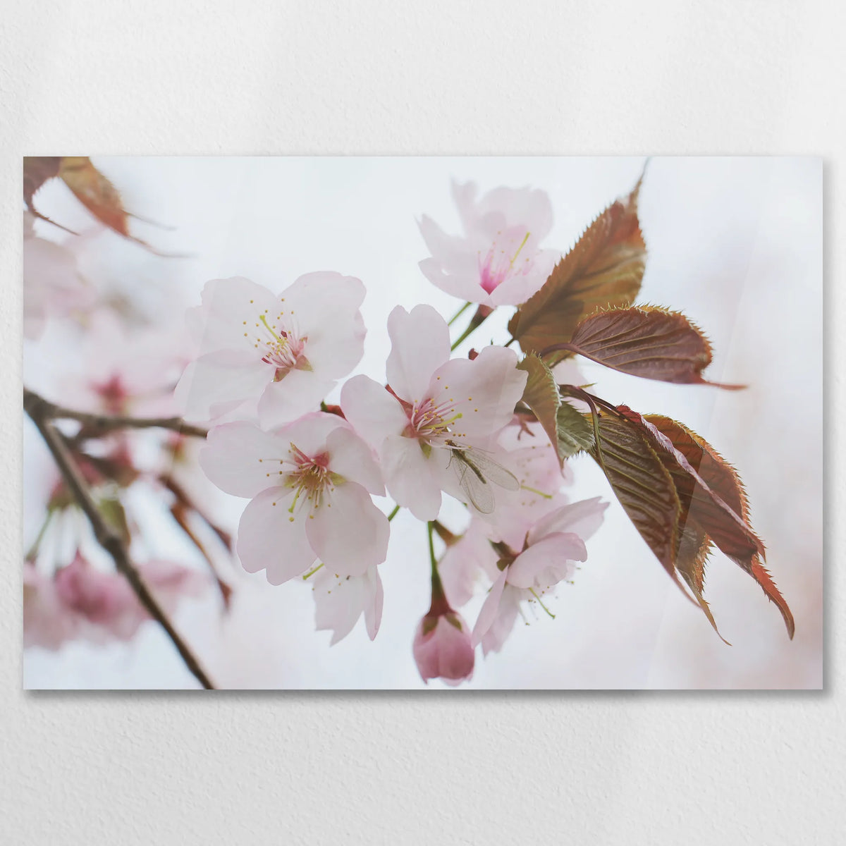 AC-075W050