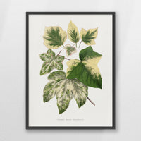 PK-060W080