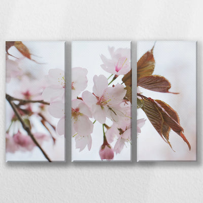 LW-060R040