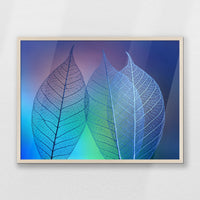 PN-080W060