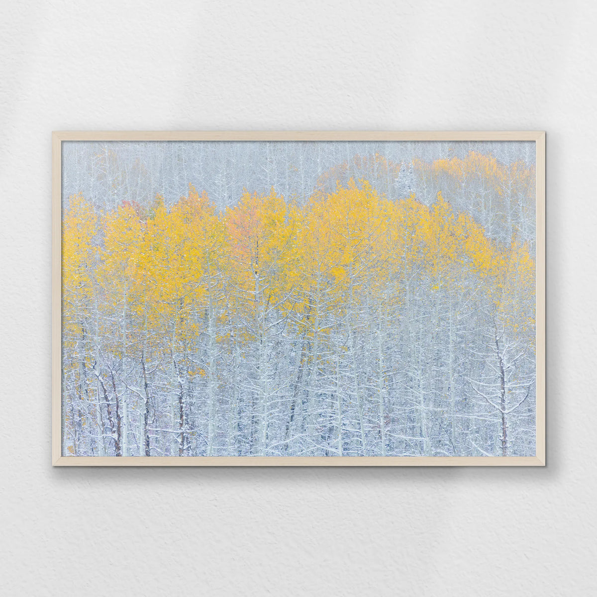 PN-093W062