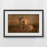 PKP060W040