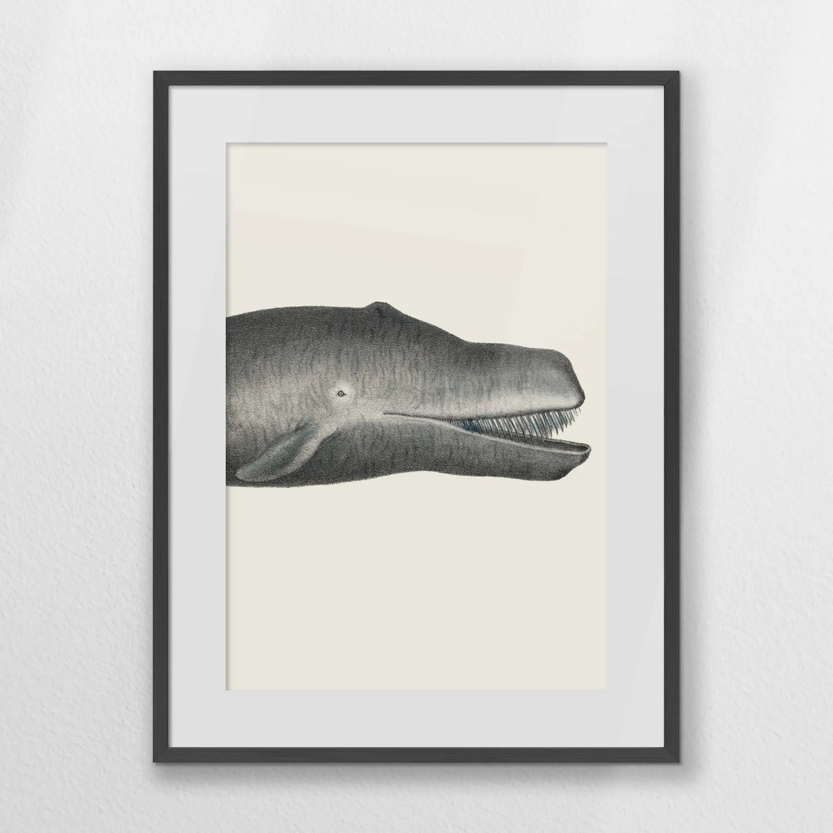 PKP060W080