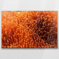LW-090W060