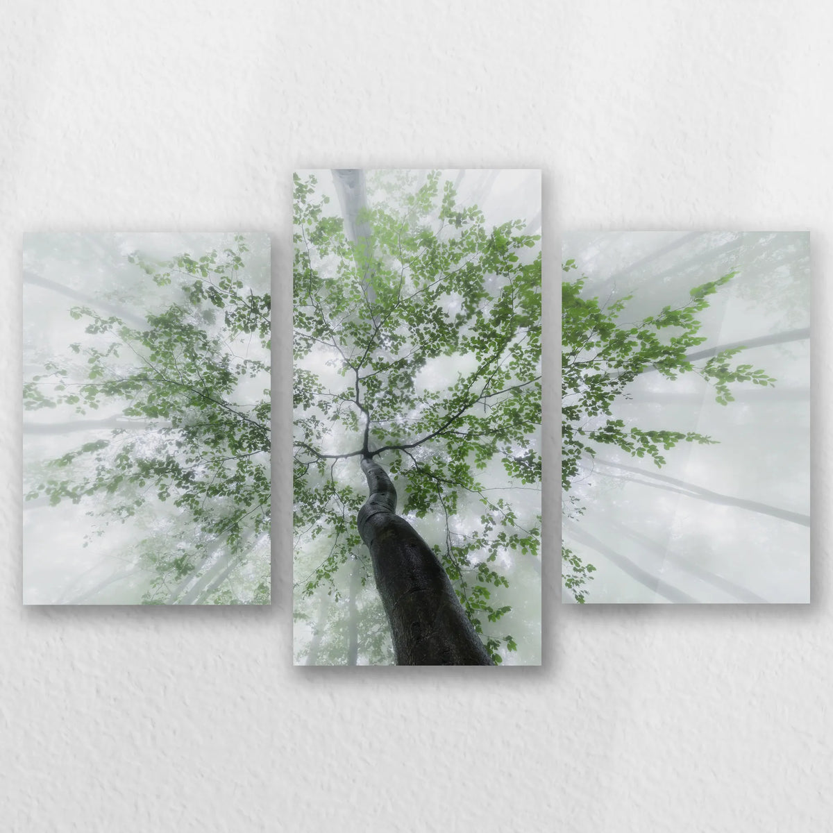 AC-060T040