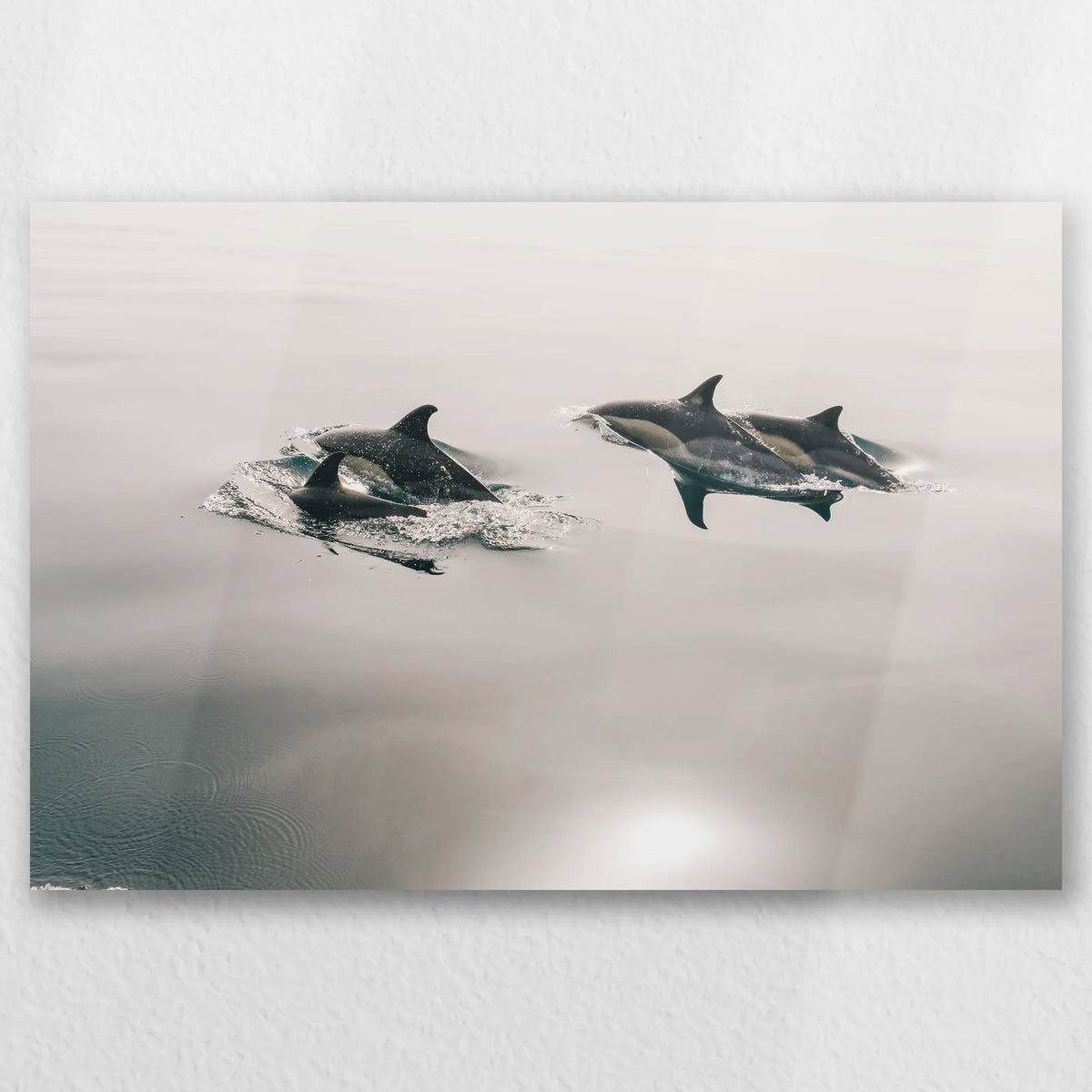 AL-030W020