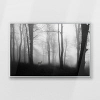PS-093W062