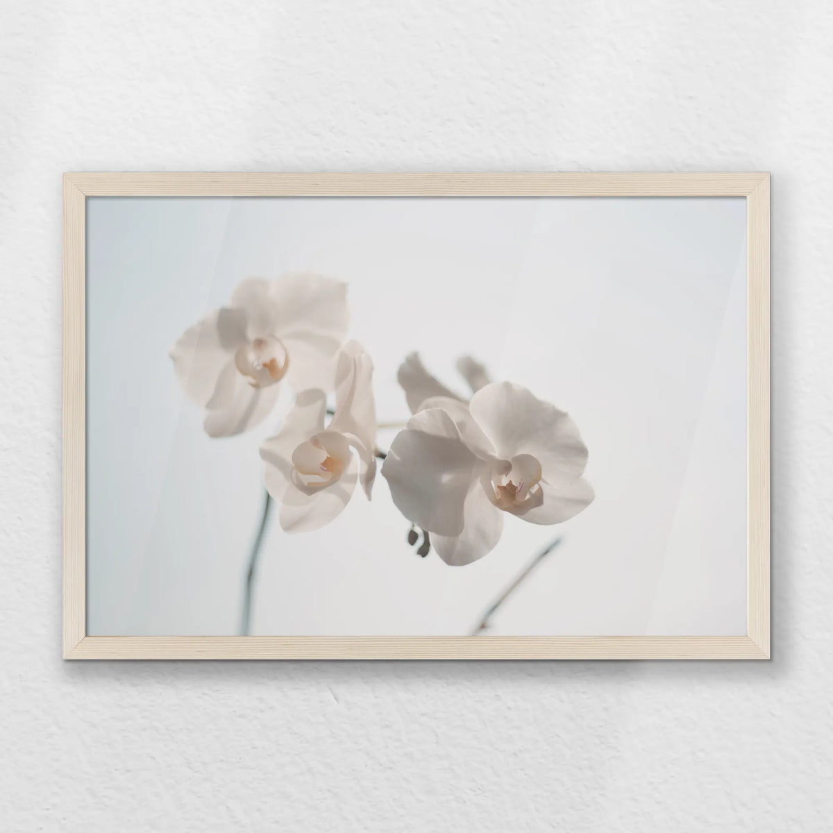 PN-060W040