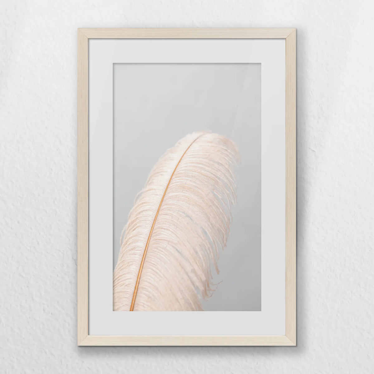 PNP040W060