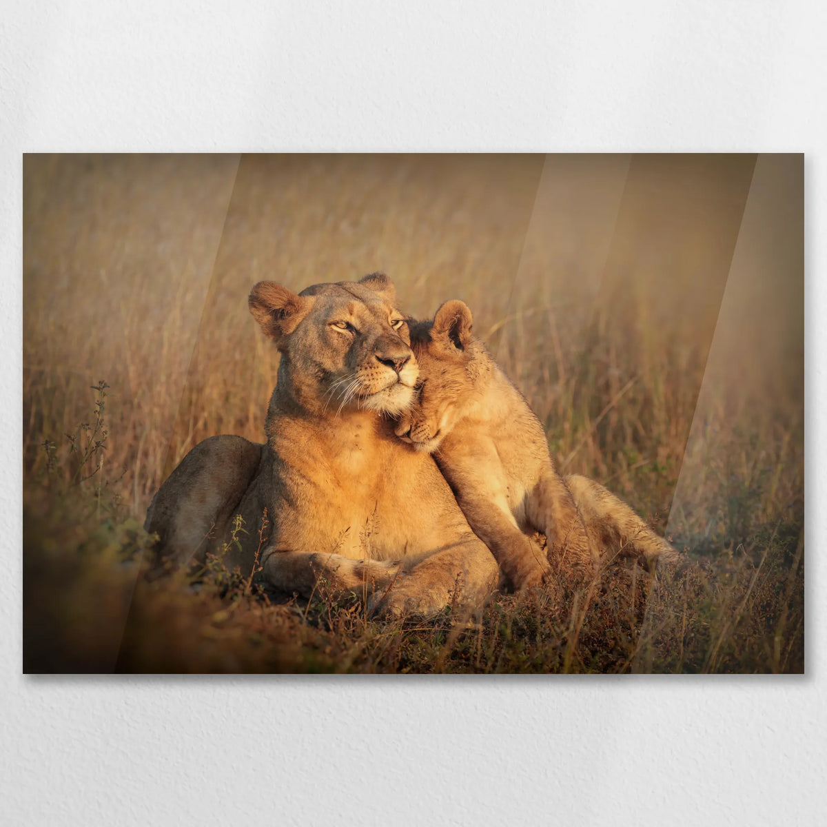 AC-090W060