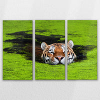 LW-120R080